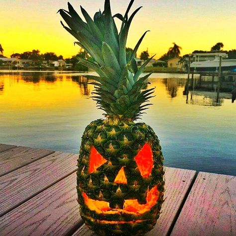 FLORIDA Florida Halloween, Amazing Pumpkin Carving, Halloween Trends, Cute Pineapple, Halloween Greetings, Matching Halloween, Pumpkin Jack, Pumpkin Faces, Tropical Decor