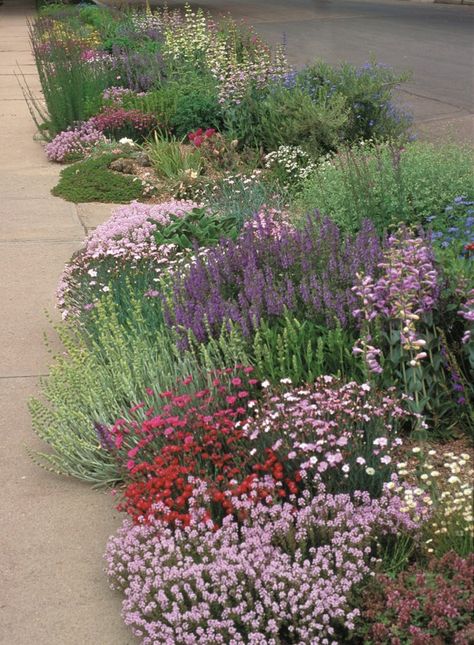 Saving time, trouble and water with a pre-planned garden – The Denver Post Colorado Landscaping, Texas Landscaping, Xeriscape Landscaping, High Country Gardens, Low Water Gardening, Garden Catalogs, Drought Tolerant Garden, Denver Botanic Gardens, Waterwise Garden