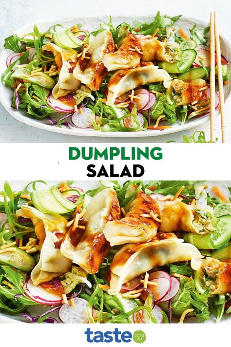 Gyoza Salad Recipe, Pot Sticker Salad, Gyoza Salad, Dumpling Salad, Easy Dumplings, Prawn Salad, Lazy Dinners, Food Chinese, Fridge And Freezer