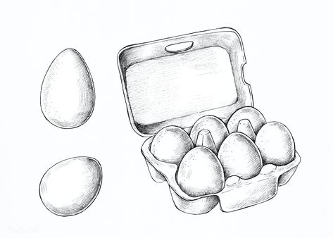 Hand drawn a box of raw eggs illustration | premium image by rawpixel.com / marinemynt Egg Drawing Art, Eggs Illustration, Simple Cartoon Characters, Hand Drawn Fox, Draw A Box, Pineapple Vector, Pizza Vector, Raw Eggs, Cocktails Vector