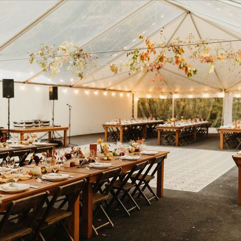 foxfire mountain house, clear tent, tented wedding, harvest wedding decor, fall wedding, tree installation, warm florals, string lights Tree Installation Wedding, November Wedding Outdoor, Autumn Backyard Wedding, Harvest Wedding Decor, Fall Wedding Tent, Fall Wedding Lighting, Fall Wedding Indoor, Fall Tent Wedding, Outdoor Fall Wedding Reception