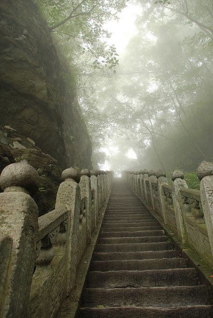 Misty Forest, The Mist, China Travel, Beautiful Places To Visit, International Travel, Asia Travel, Kung Fu, Tibet, Beautiful World