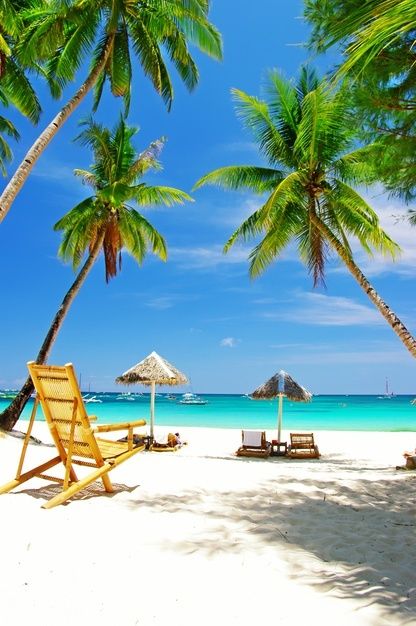 Taehun Seong, Palm Tree Pictures, Zanzibar Beaches, Coconuts Beach, African Goddess, Boracay Island, Coconut Palm Tree, Estilo Tropical, Palm Trees Beach