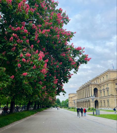 English Garden Munich, Germany 🇩🇪 English Garden Munich Germany, Munich Germany Photography, Munich Germany Aesthetic, English Garden Munich, Munich Aesthetic, Germany Lifestyle, Munich Germany Travel, Munchen Germany, Berlin Germany Travel