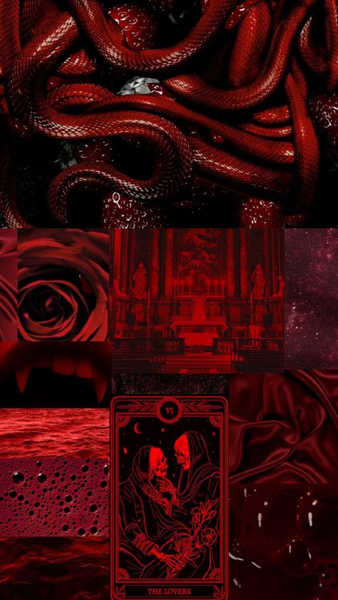 #myfirstshuffle #collage #red #bloodred #art #aesthetic #snake #vampire #blood #fyp Aesthetic Snake, Vampire Blood, Blood Red, Art Aesthetic, Life Hacks, Collage, Red, Design, Art