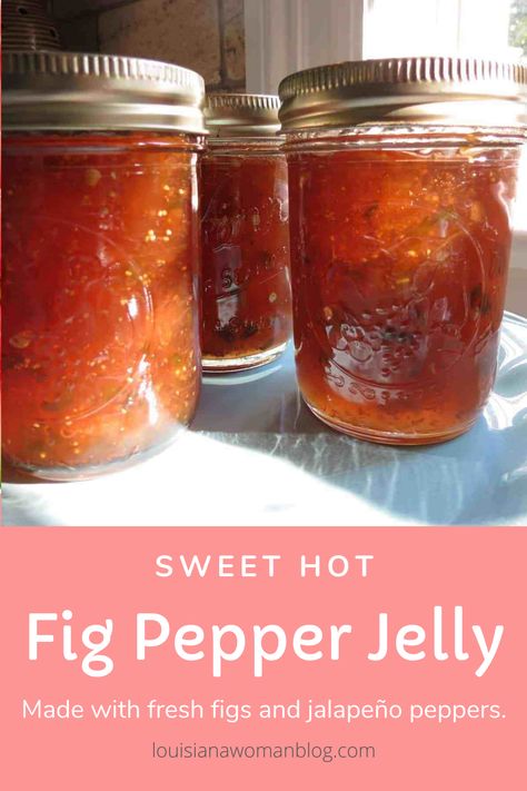 Jalapeno Fig Jam Recipe, Fig And Jalapeno Jam, Fig Pepper Jam Recipe, Fig Jalapeno Pepper Jelly, Fig Pepper Jelly, Canned Figs Recipes, Jalapeno Fig Jam, Fig Jelly Recipe, Fig Pepper Jelly Recipe