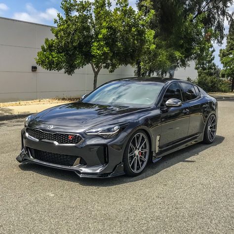 Kia Stinger Modified, Stinger Car, Mod Cars, Kia Stinger Gt, Korean Cars, Kia Optima K5, Kia Stinger, Japanese Domestic Market, 2015 Mustang