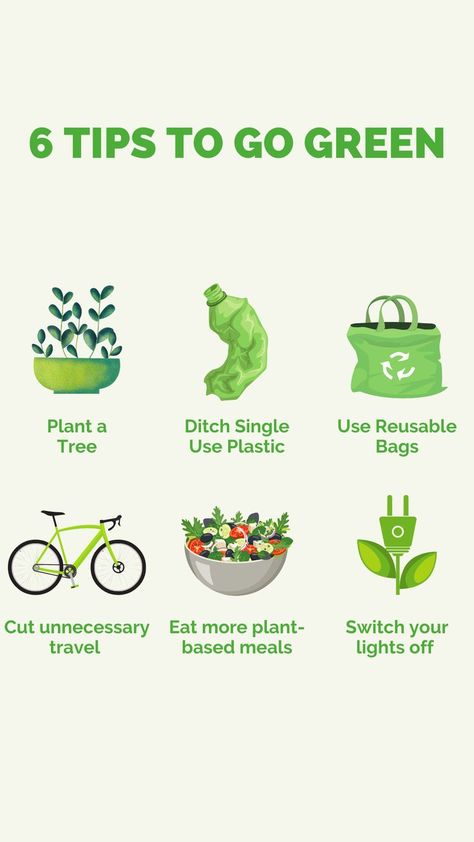 National Recycling Day! We care about our holistic health here at Exotic Herbs, and at the root of this love is our beautiful planet! These six tips will help you to go green in your life easily! Baby steps make all the differences. 🌱 . . . #kava #tealife #healthtalk #healthfirst #cbdmovement #cbdheals #herbalism #herbalist #herballifestyle #herballiferesult #herballife #hemplife #hempoil Life Style For Environment Poster, Poster About Taking Care Of Environment, Environment Sustainability Poster, Lifestyle For Environment Poster, Environmental Sustainability Poster, Environmentally Friendly Living, Research Poster, Eco Garden, Tree Bag