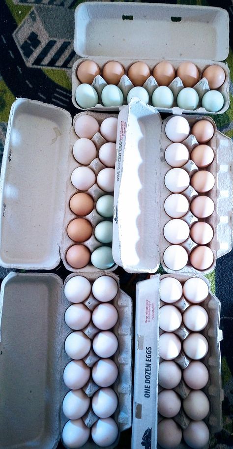 Duck Eggs, Fresh Chicken, Farm Fresh, Tiny House, Chicken