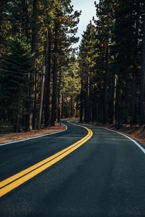 brown road between trees during daytime photo – Free Road Image on Unsplash 11 Wallpaper, Road Photography, 2160x3840 Wallpaper, Beautiful Roads, Forest Photos, Ios 11, Forest Road, Landscape Photography Nature, Forest Wallpaper