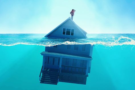 Can You Depend on Your Homeowners Insurance When the House Floods? Calathea Crocata, Olivier En Pot, Flooded House, Tenant Screening, Flood Insurance, Lake Charles, Buying A New Home, Homeowners Insurance, Water Damage