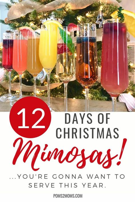 Christmas Brunch Drinks, Mimosa Recipes, Christmas Drinks Recipes, Mimosa Recipe, Brunch Drinks, Christmas Punch, Christmas Mimosa, Holiday Brunch, Mixed Drinks Recipes