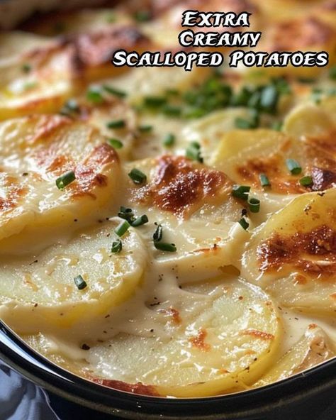 The Pioneer woman - Ree Drummond Family | Extra Creamy Scalloped Potatoes 🥔🧀 | Facebook Ree Drummond Over The Top Scalloped Potatoes, Creamy Scalloped Potatoes, Pioneer Woman Ree Drummond, Ree Drummond, Scalloped Potatoes, The Pioneer Woman, Ultimate Comfort Food, Pioneer Woman, Over The Top