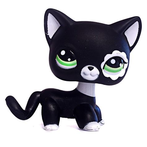 Lps Shorthair, Lps Cats, Lps Customs, White And Black Cat, Lps Toys, Lps Pets, Lps Littlest Pet Shop, Black And White Cat, Short Hair Cats