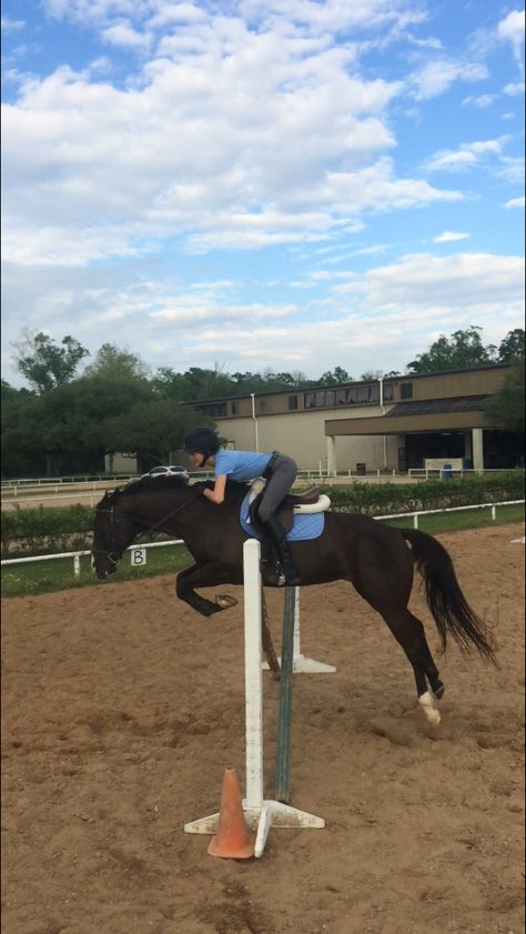 Equine Photography Poses, Show Jumping Horses, Horse Story, Equestrian Aesthetic, Cute Horse Pictures, Big Cross, Horse Games, Horse Camp, Horse Therapy