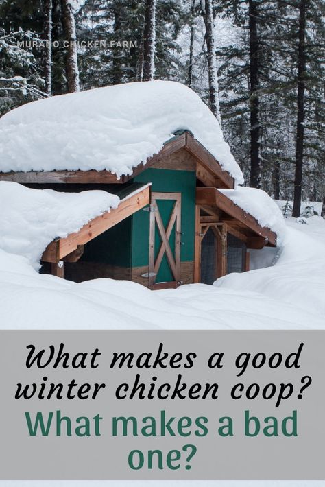 What makes a good winter chicken coop? How to pick a chicken coop for cold climates. Comparing ventilation, space and light to determine which coop your chickens will be comfortable in when it starts to snow!  #chickens #homesteading #backyardchickens Chicken Coop For Two Chickens, Diy Chicken Coop For Winter, All Season Chicken Coop, Chicken Coops For 6 Chickens, Chicken Coop Ideas For Winter, 5 Chicken Coop, Chicken Winter Coop, How To Decorate A Chicken Coop, Chicken Cope Ideas