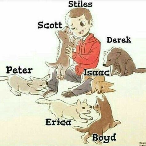 Teen Wolf, Wolves, The Story, Dogs, Quotes