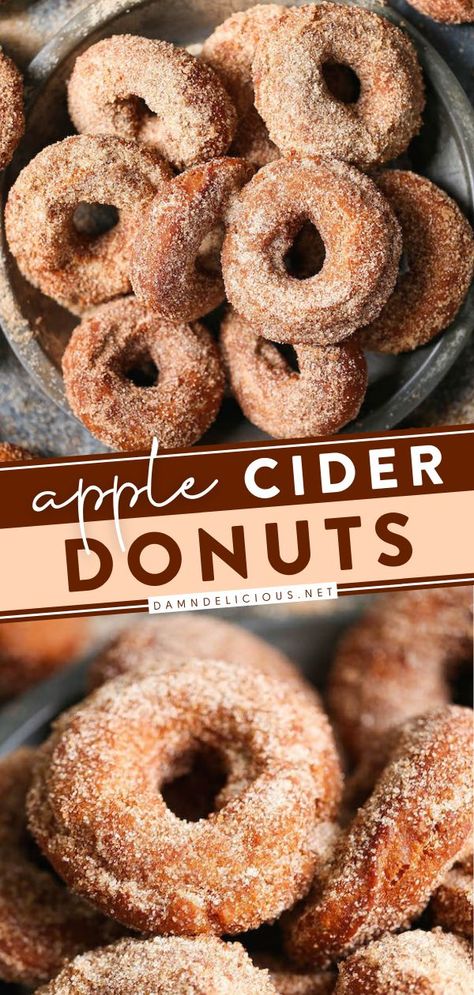 APPLE CIDER DONUTS, christmas brunch, sweet breakfast ideas Deep Fried Donut Recipe, Donut Bread Recipe, Deep Fried Donuts, Donut Bread, Cider Donuts Recipe, Apple Cider Donuts Recipe, Fried Apple, Favorite Christmas Recipes, Apple Donuts