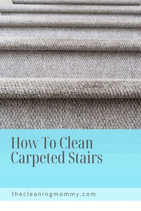 Carpet Steam Cleaner, Carpeted Stairs, Carpet Stair Treads, Carpet Shampoo, Steam Cleaners, Carpet Cleaner, Carpet Stairs, Stair Treads, Area Carpet