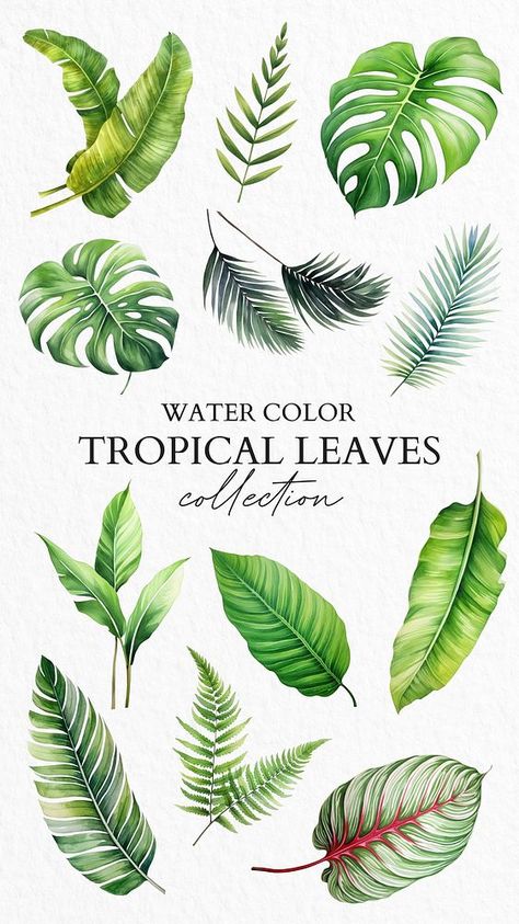 Palm Leaf Drawing, Tropical Leaves Illustration, Florida Vibes, Watercolor Tropical Leaves, Painting Tropical, Cupcake Illustration, Plants Tropical, About Plants, Watercolor Tropical