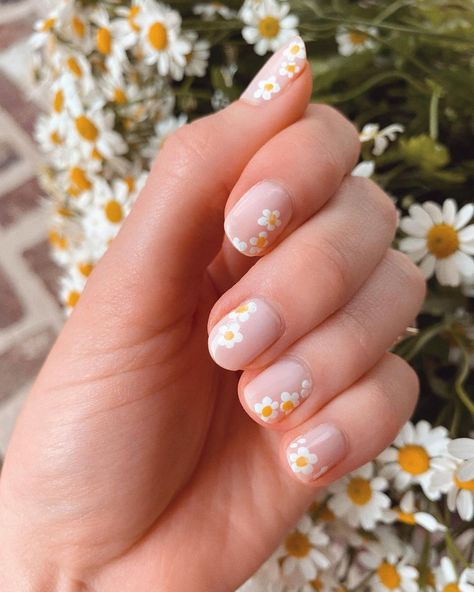 Ashley Brooke on Instagram: ““Don't you think daisies are the friendliest flower?” 🌼 #daisies #nailart #chamomile #diy” Chamomile Nail Design, Daisy Nails Short, Daisy Manicure, Daisy Nail Art, Hello Nails, Shiny Lips, Shiny Nails, Daisy Nails, Flower Nail Designs