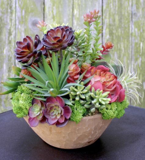 Succulent Bowls Outdoor, Succulent Arrangements Outdoor, Succulent Plants Indoor, Repot Succulents, Aesthetic Crazy, Succulent Garden Outdoor, Design A Garden, French Garden Design, Potted Plants Patio