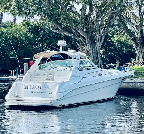 1997 Sea Ray 310 Sundancer Cruiser for sale - YachtWorld Sea Ray Boat, Cruise Boat, Cabin Cruiser, Boat Life, Cool Boats, Fresh Water Tank, Engine Types, Boats For Sale, Electrical Equipment