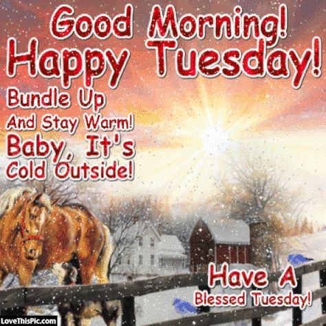 Good Morning Tuesday Its Cold Outside good morning tuesday tuesday quotes good morning quotes happy tuesday tuesday quote happy tuesday quotes good morning tuesday winter tuesday quotes tuesday quotes for friends and family Happy Tuesday Winter, Cold Tuesday Morning, Happy Tuesday Pictures, Good Morning Happy Tuesday, Winter Gif, Tuesday Pictures, Happy Tuesday Morning, Tuesday Quotes Good Morning, Good Morning Winter