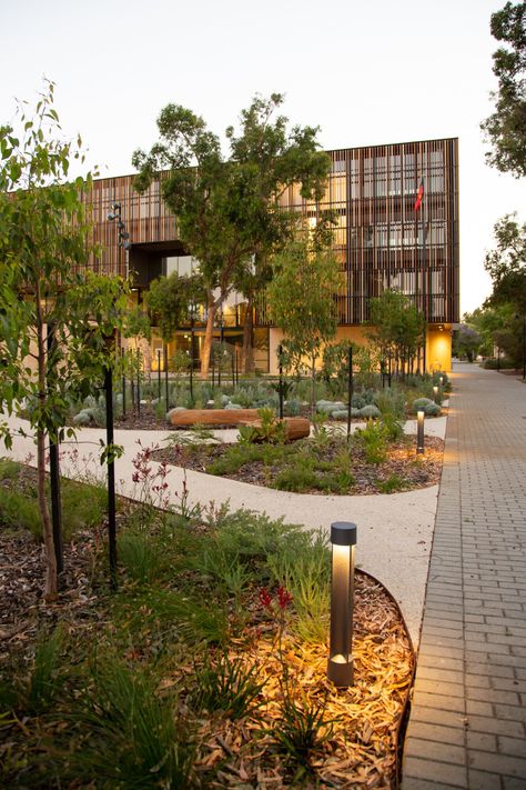 Bilya Marlee - a healing environment in Perth — LANDSCAPE ARCHITECTURE AOTEAROA Community Garden Architecture, Campus Landscape Architecture, Public Garden Architecture, University Of Western Australia, Campus Landscape, Healing Environment, Indigenous Studies, Healing Garden, Urban Landscape Design