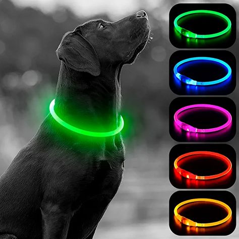 Amazon.com : HIGO LED Dog Collar Light, USB Rechargeable Flashing Dog Collars, TPU DIY Light Up Necklaces for Dog Walking at Night (Green) : Pet Supplies Night Dog Walking, Diy Safety, Dog Shock Collar, Diy Dog Collar, Dog Light, Led Dog Collar, Rechargeable Light, Up Dog, Puppy Collars