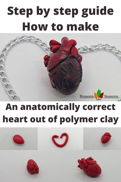 Clay Heart Anatomical, How To Make Clay Hearts, Heart Made Out Of Clay, Polymer Clay Anatomical Heart, How To Make A Clay Heart, Polymer Clay Hearts Tutorial, Clay Hearts Diy, Diy Clay Heart, Clay Crafts Heart