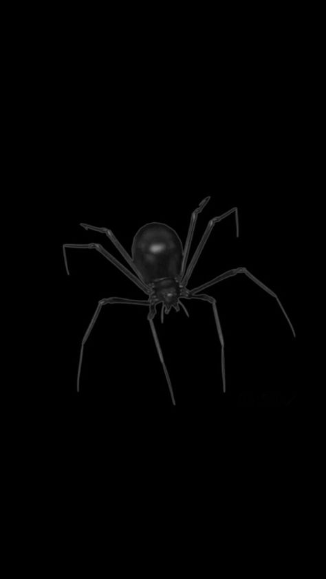 Spider Astethic, Spider Wallpaper Black, Black Spider Wallpaper, Spider Aesthetic Dark, Spider Widget, 90s Homescreen, Spider Pfp, Spider Background, Spider Y2k