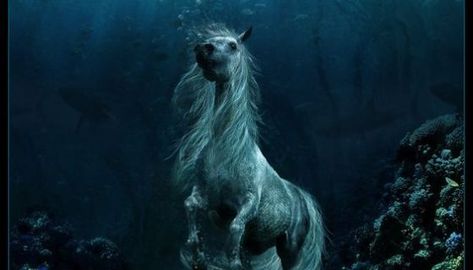 A List of Little-Known Superpowers – The Artful Author Capaill Uisce, Kelpie Horse, Water Horse, The Scorpio Races, Irish Mythology, Celtic Gods, Magical Horses, Water Spirit, Fantasy Horses