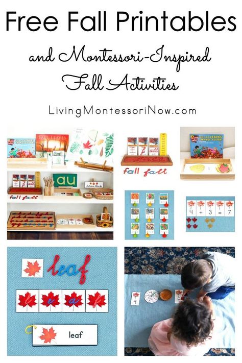 These free fall printables and Montessori-inspired fall activities are designed for preschoolers through first grade. Perfect for home or classroom - Living Montessori Now Fall Lessons For Preschool, Fall Printables Free Preschool, Leaf Printables, Halloween Month, Division Activities, Word Building Activities, Montessori Printables, Free Fall Printables, Transportation Birthday