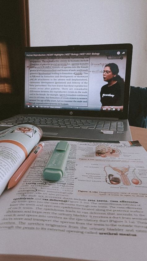 Aesthetic Study Snap Class 10, Online Study Aesthetic, Class 12th Biology Notes, Human Biology Aesthetic, Biology Girl Aesthetic, 12th Biology Notes, Biology Study Aesthetic, Aesthetic Study Snap, Class 12 Biology Notes