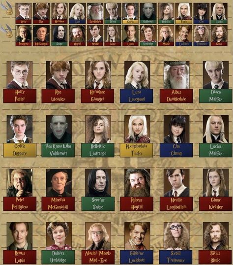 Harry Potter Group Names, Harry Potter Characters Pictures, Harry Potter All Characters, Harry Potter Personajes, Harry Potter Names, All Harry Potter Characters, Harry Potter Characters Names, Harry Potter Classes, Harry Potter Groups