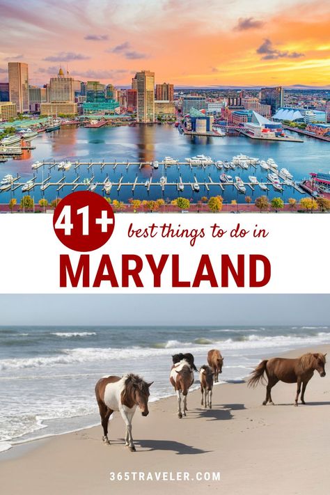 Get ready for crabs, Old Bay and a whole lot of Maryland love. From gorgeous small towns to beautiful state parks, Maryland is home to historic sites and plenty of adventurous activities. Here are 41+ things to do in Maryland that are going to make you fall in love with this amazing state. Things To Do In Maryland In Fall, Things To Do In Maryland, Takoma Park Maryland, Maryland Day Trips, Maryland Travel, Visit Maryland, Adventurous Activities, Maryland Beaches, Outside Activities