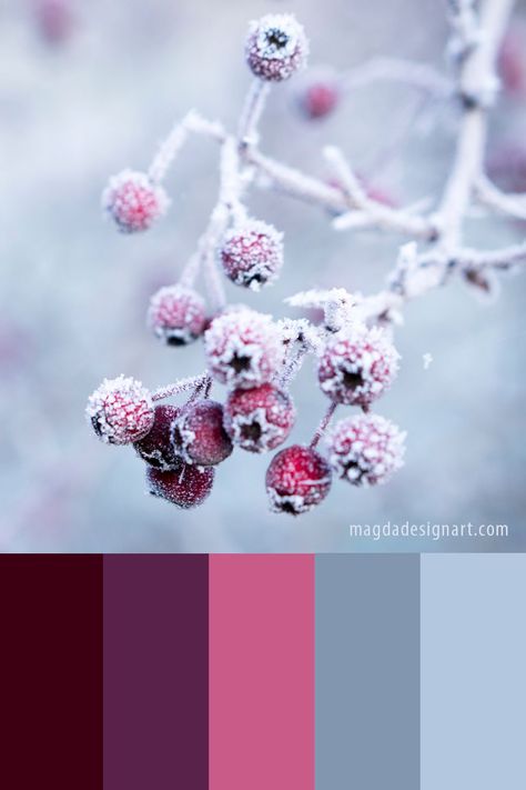 Get some inspiration: discover 10 beautiful winter color palette ideas! These color combinations are perfect for graphic designers or for any creative projects #graphicdesign #colorpalettes #inspiration #art #colors #colorcombinations #creative #branding #winter Winter Bedroom Ideas Colour Schemes, Youthful Colour Palette, Winter Floral Color Palette, Winter Flower Color Palette, Purple Winter Color Palette, Pink Winter Color Palette, January Colour Palette, Winter Pallet Color, Aestethic Color Palette