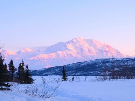 Alaska Alaska Aesthetic Wallpaper, Alaska Aesthetic, Alaska Landscape, Alaska Pictures, Nature Reference, Alaska Photography, Alaska Photos, Sitka Alaska, Juneau Alaska