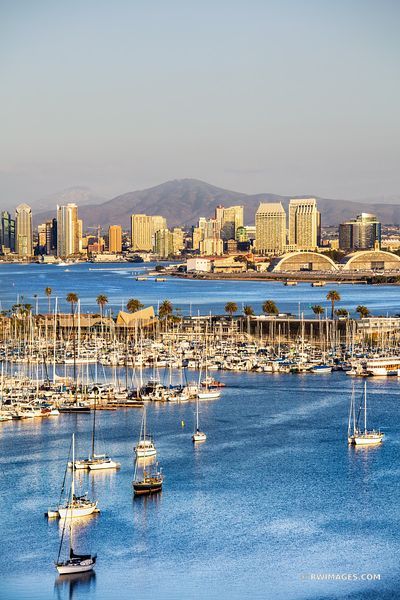 SAN DIEGO CITY SKYLINE SAN DIEGO BAY MARINA SAILBOATS SAN DIEGO CALIFORNIA COLOR VERTICAL Horror High, San Diego Skyline, San Diego City, California Colors, United States Photography, San Diego Bay, Travel California, Paper City, California Print