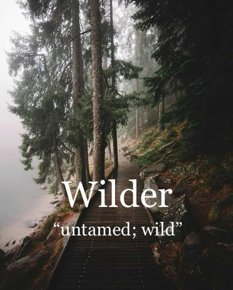 Wilder Name Meaning, Wilder Name, Beautiful Rare Words, Story Character Names, Fictional Names, Mythical Names, Names For Book Characters, Baby Names 2022, Male Character Names