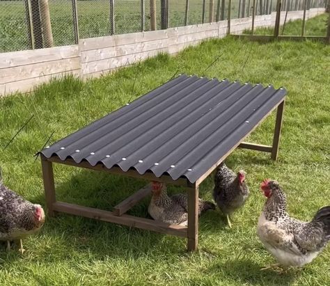 Chicken Shelter, Rain Shelter, Chicken Run, Farm Ideas, Chicken Runs, Chicken Coops, Flat Roof, Chicken Coop, Coop