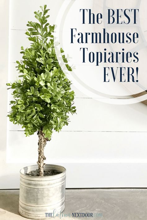 Farmhouse Topiaries Pin The Best Farmhouse Topiaries Small Topiary Decor, Front Porch Faux Topiary Ideas, Topiaries Front Porch, Topiaries In Pots, Potted Topiary Front Porches, Topiary Trees Landscaping, Front Porch Faux Plants, Outdoor Topiary Trees Front Porches, Farmhouse Indoor Plants