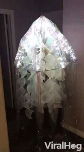 Jelly Fish Umbrella GIF - Jelly Fish Umbrella Halloween Costume - Discover & Share GIFs Jelly Fish Costume Umbrella, Jellyfish Umbrella, Jellyfish Costume, Fish Costume, Jelly Fish, Under The Sea Party, Spring 2023, Bjd Dolls, Jellyfish