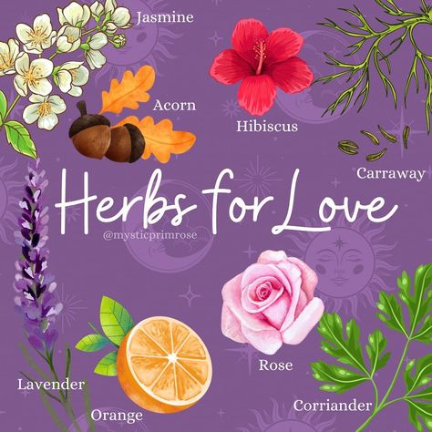 Herbs For Love Spells, Love Spell Jars, Herbs For Love, Magickal Correspondences, Aphrodite Goddess, Witch Tips, Herbal Elixir, Spell Jars, Witch Spirituality