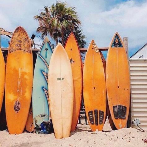 orange surfboards Deco Orange, Surfing Aesthetic, Mavericks Surfing, Surf Aesthetic, Orange Walls, Orange Aesthetic, Picture Collage Wall, Orange Beach, Photo Wall Collage