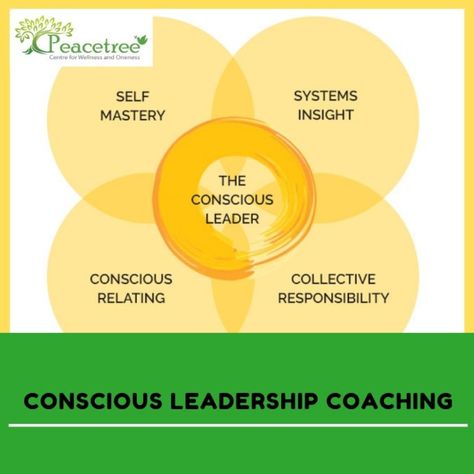 Conscious Leadership, Spiritual Leadership, Conscious Business, Leadership Programs, Spiritual Coach, Health Research, Executive Coaching, Leadership Coaching, Self Regulation