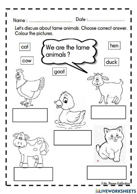 Tame animal Tame Animals Activities For Preschool, Shark Activities, Tame Animals, Preschool Language, Science Experiments For Preschoolers, Animal Worksheets, Animal Activities, Preschool Science, Science Experiment