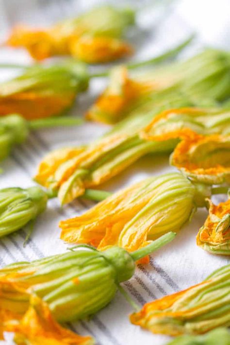 Squash blossoms are a delicious edible flower that you can find in your garden or occasionally at the farmer’s market. It’s serious impossible for me to pass them by as I absolutely love the idea of eating flowers. There is nothing more beautiful and girly that to have that bright yellow flower on your plate. That being said, they can be somewhat intimidating so here’s how to clean and prepare squash blossoms. Squash Blossom Recipe, Stuffed Squash Blossoms, Squash Flowers, Zucchini Quiche, Zucchini Flowers, Zucchini Blossoms, Squash Blossoms, Food Addict, Zucchini Muffins