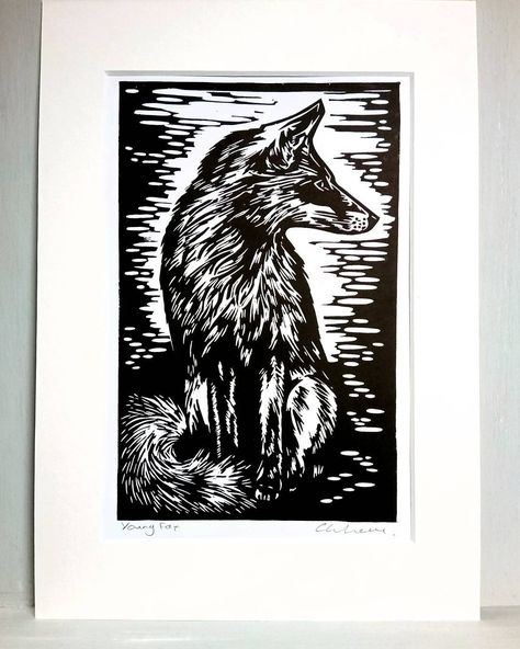 Finally listed on #etsy #fox #foxes #foxesofinstagram #instafox #redfox #keeptheban #vulpesvulpes #linocut #linoprint #linoprinting #reliefprint #handprinted #handprinting #etsyseller #printmaking #printmaker #xilogravura #welshpoppyprints Linocut Printmaking, Stamp Carving, Linocut Art, Relief Print, Fox Print, Sgraffito, Lino Print, Linocut Prints, Linocut